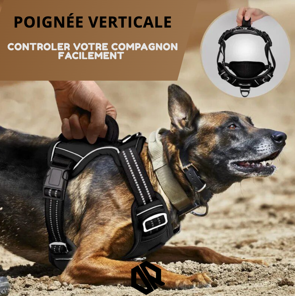 Delta Running CarniGo Harnais de Course Pour Chien