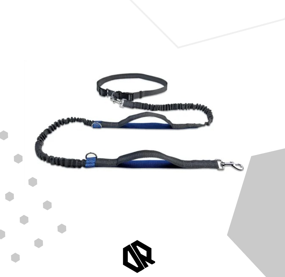 Ceinture Laisse Carnicross | CarniGo™