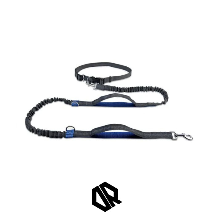 Ceinture Laisse Carnicross | CarniGo™