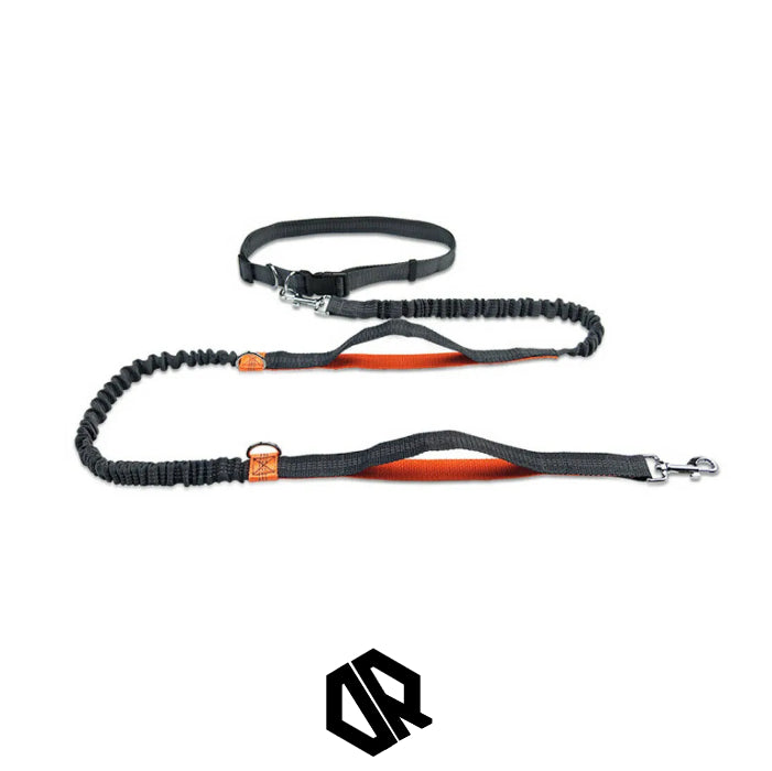 Ceinture Laisse Carnicross | CarniGo™