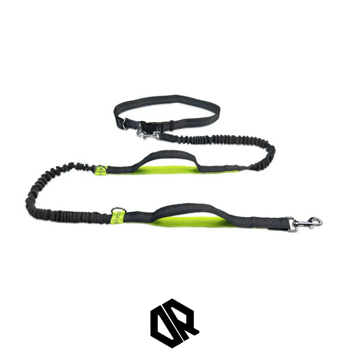 Ceinture Laisse Carnicross | CarniGo™