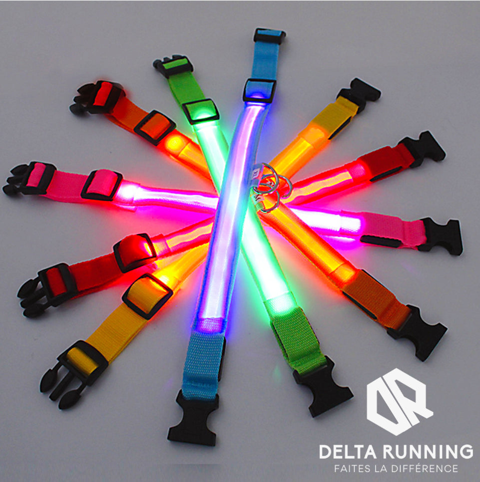 Delta Running CarniGo Collier pour Chien Lumineux