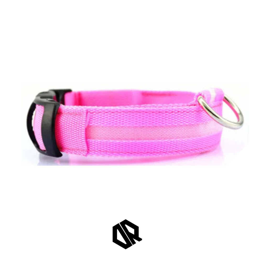 Delta Running CarniGo Collier pour Chien Lumineux