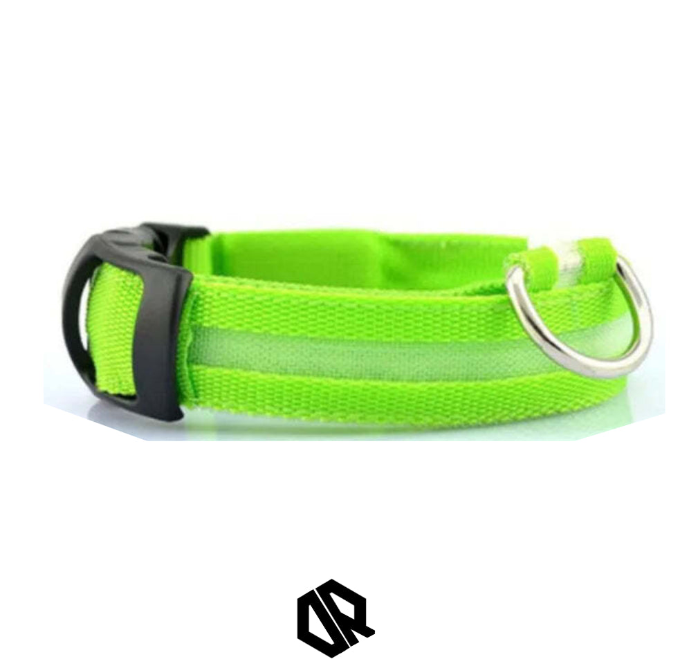 Delta Running CarniGo Collier pour Chien Lumineux