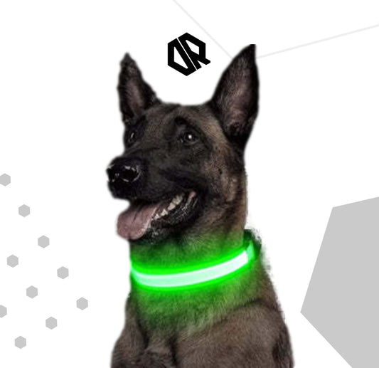 Delta Running CarniGo Collier pour Chien Lumineux