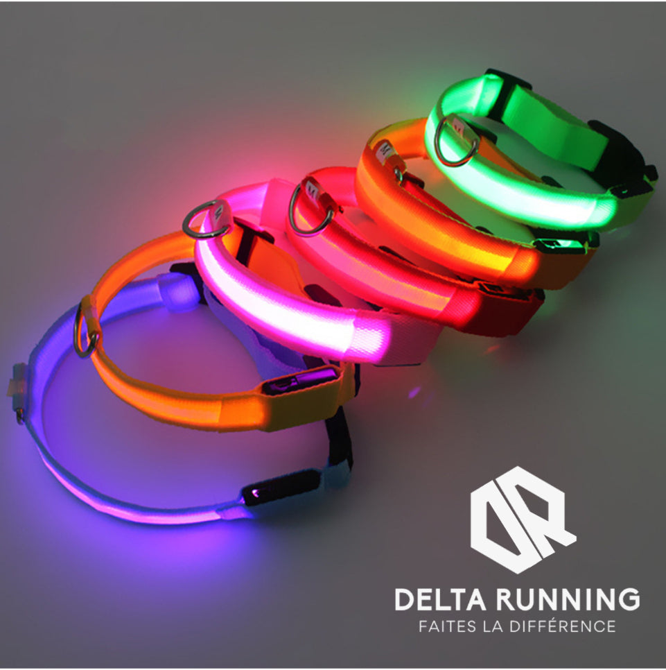 Delta Running CarniGo Collier pour Chien Lumineux