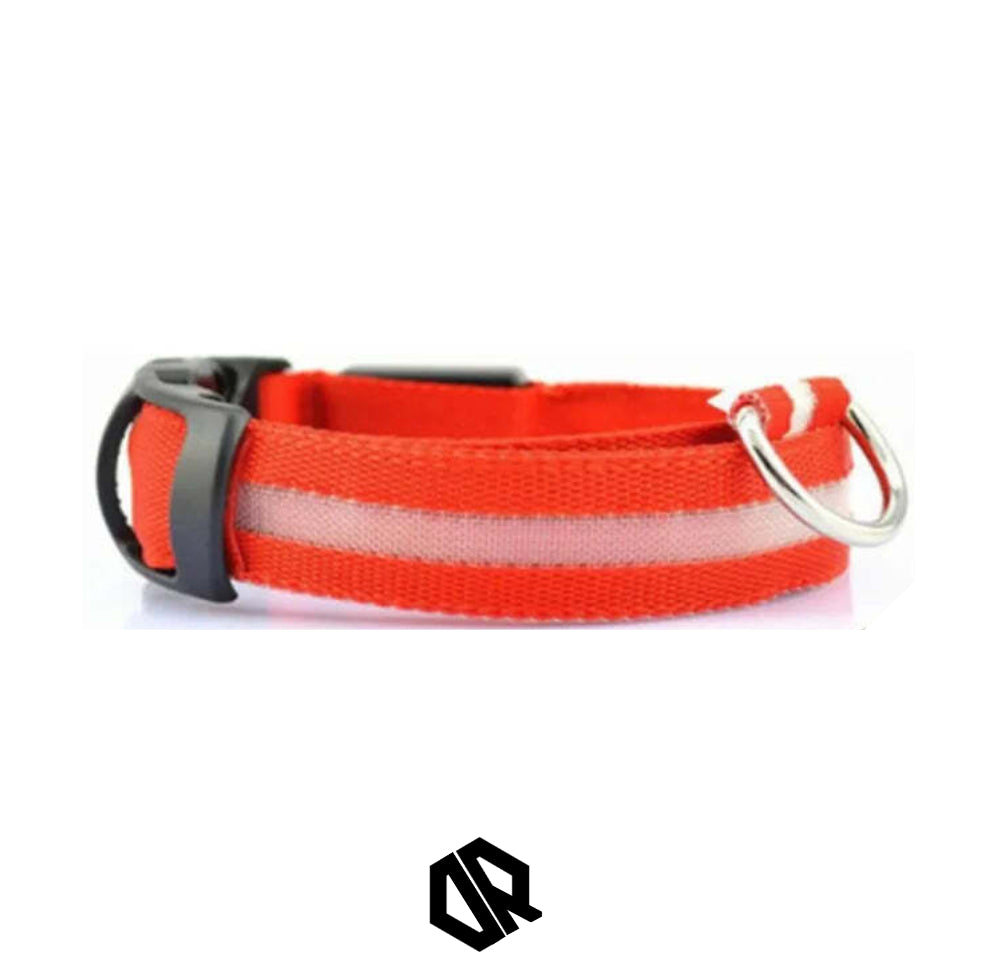 Delta Running CarniGo Collier pour Chien Lumineux