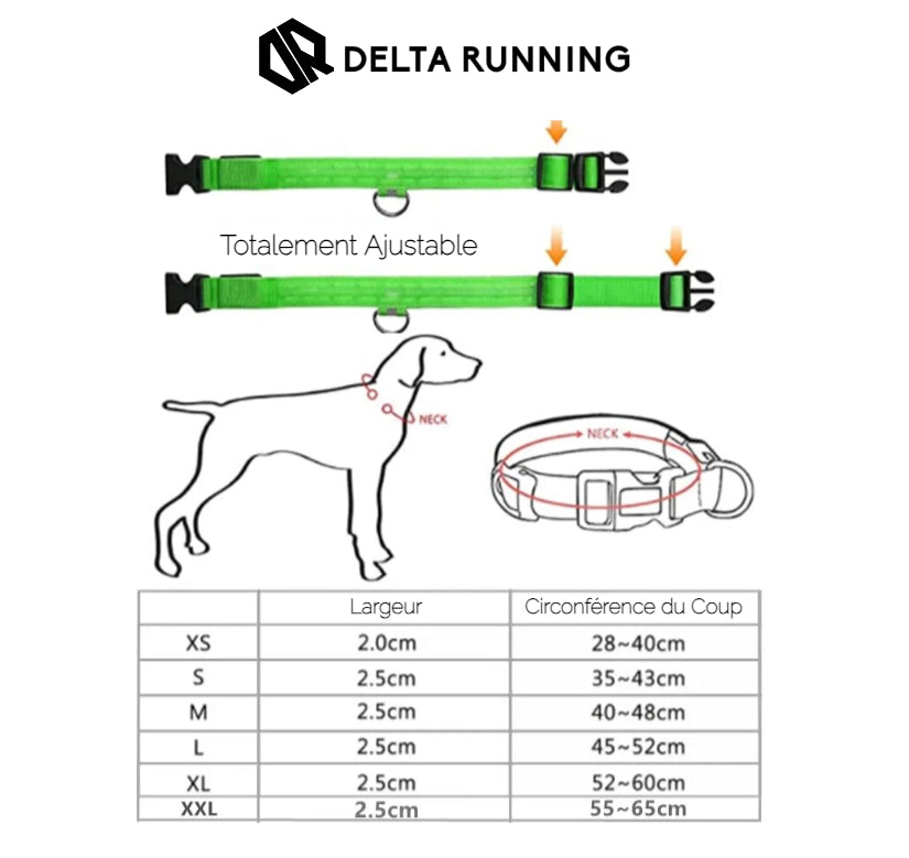 Delta Running CarniGo Collier pour Chien Lumineux